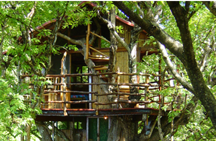 Sanya Nanshan Treehouse Resort