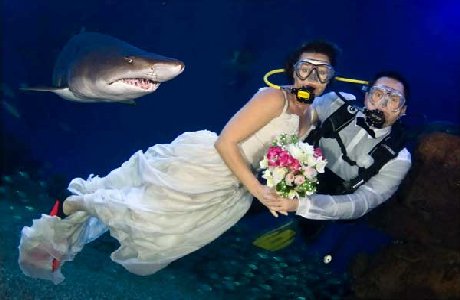 boda-submarina.jpg