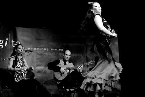 El flamenco y las diferentes actividades